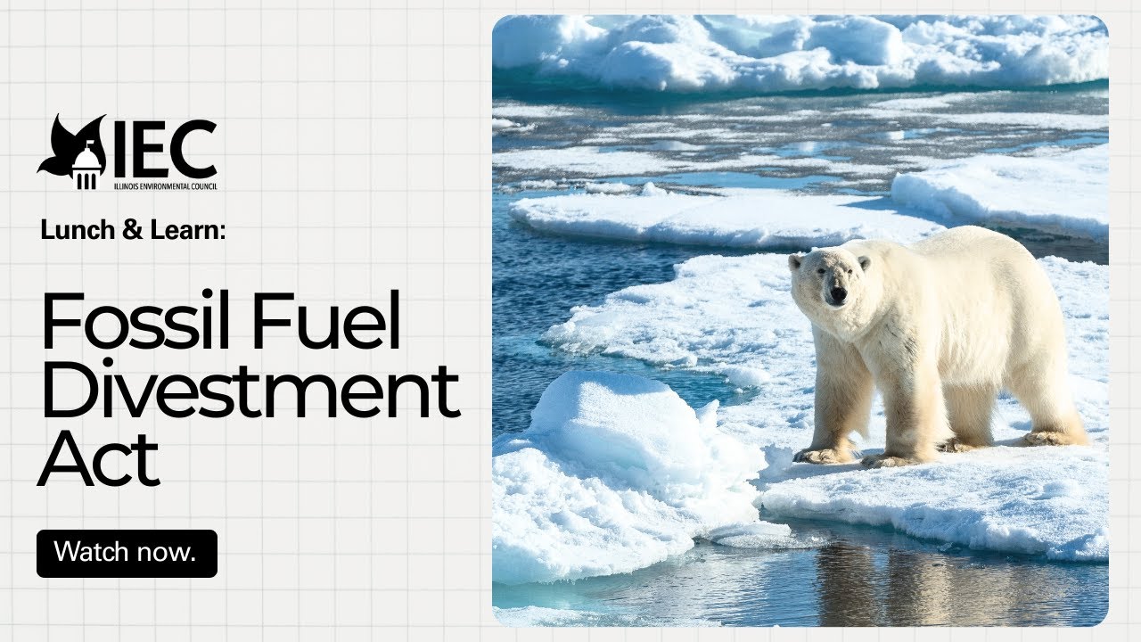 Fossil Fuel Divestment Act