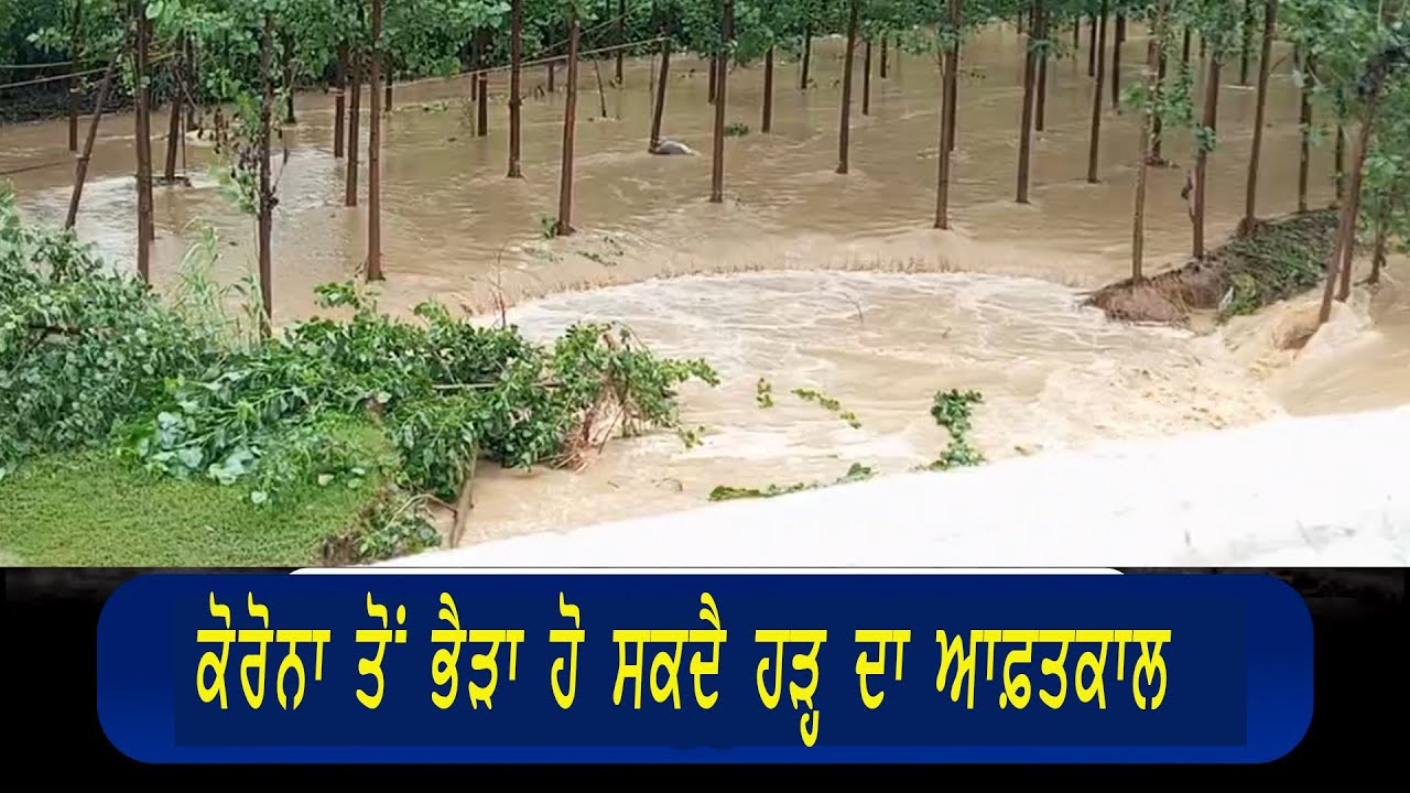 #LIVE: ਆਫ਼ਤਕਾਲ: ਭਿਆਨਕ ਮੰਜ਼ਰ ਦੀਆਂ ਡਰਾਉਣੀਆਂ ਤਸਵੀਰਾਂ-ਇਕ ਦੂਜੇ ਦੀ ਮਦਦ ਲਈ ਵਧਾਓ ਹੱਥ