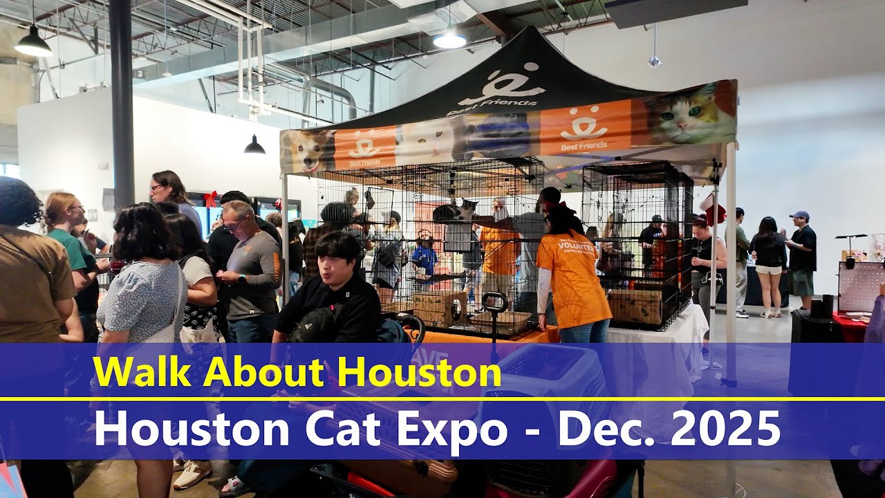 Walk About Houston - Houston Cat Expo Dec. 2025