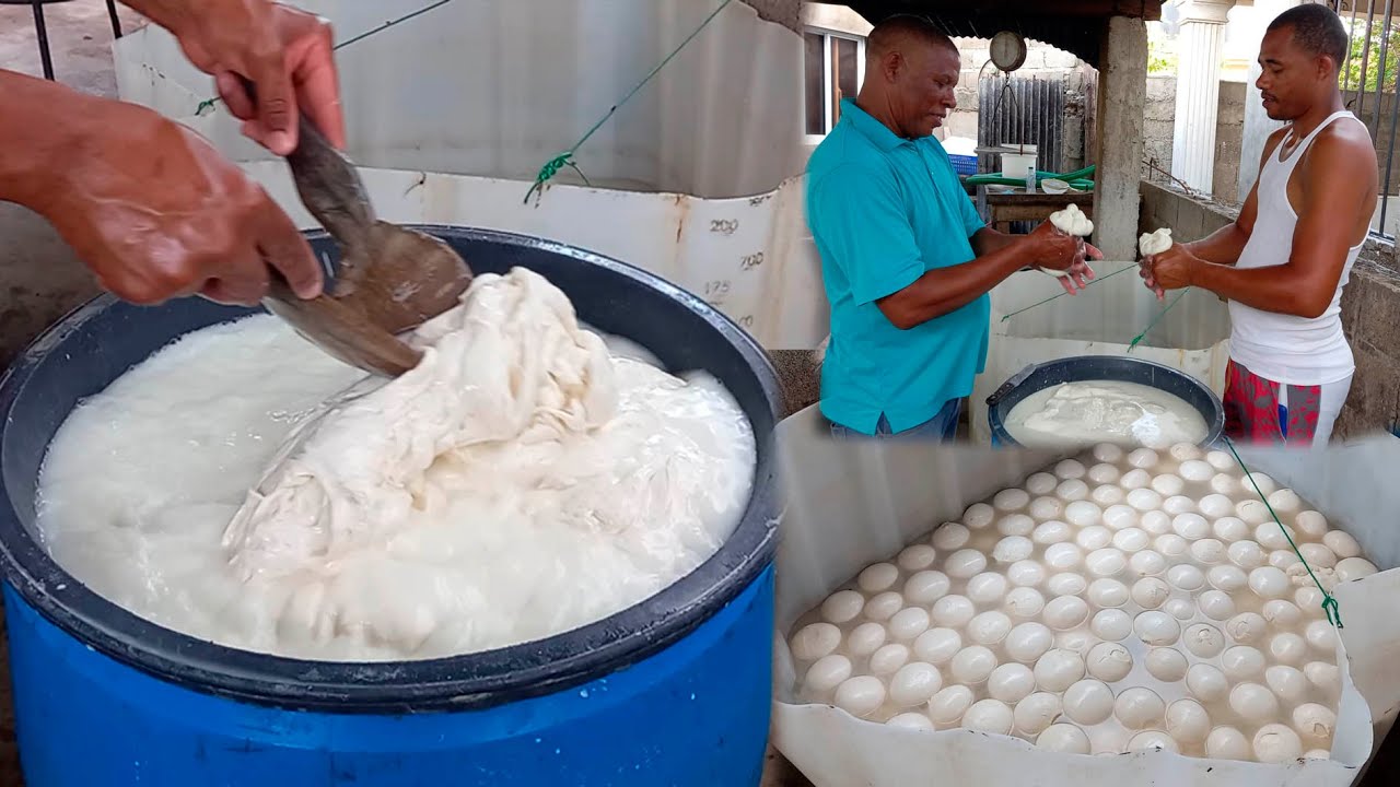 El mejor Queso de hoja dominicano, la vida del campo.