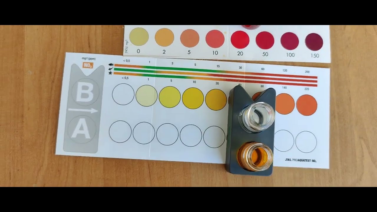 (72) JBL i Zoolek test NO3. Po 13 tyg. bez podmiany 1/2