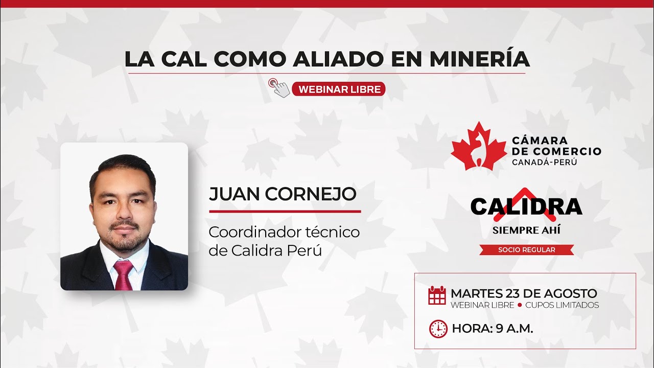 LA CAL COMO ALIADO EN MINERÍA