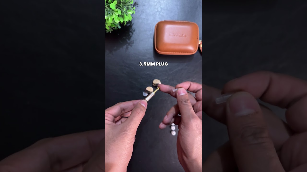 Unboxing the Sivga Que &ndash; Wooden Elegance in a Compact Package! 🎧 #audiophile | TWX
