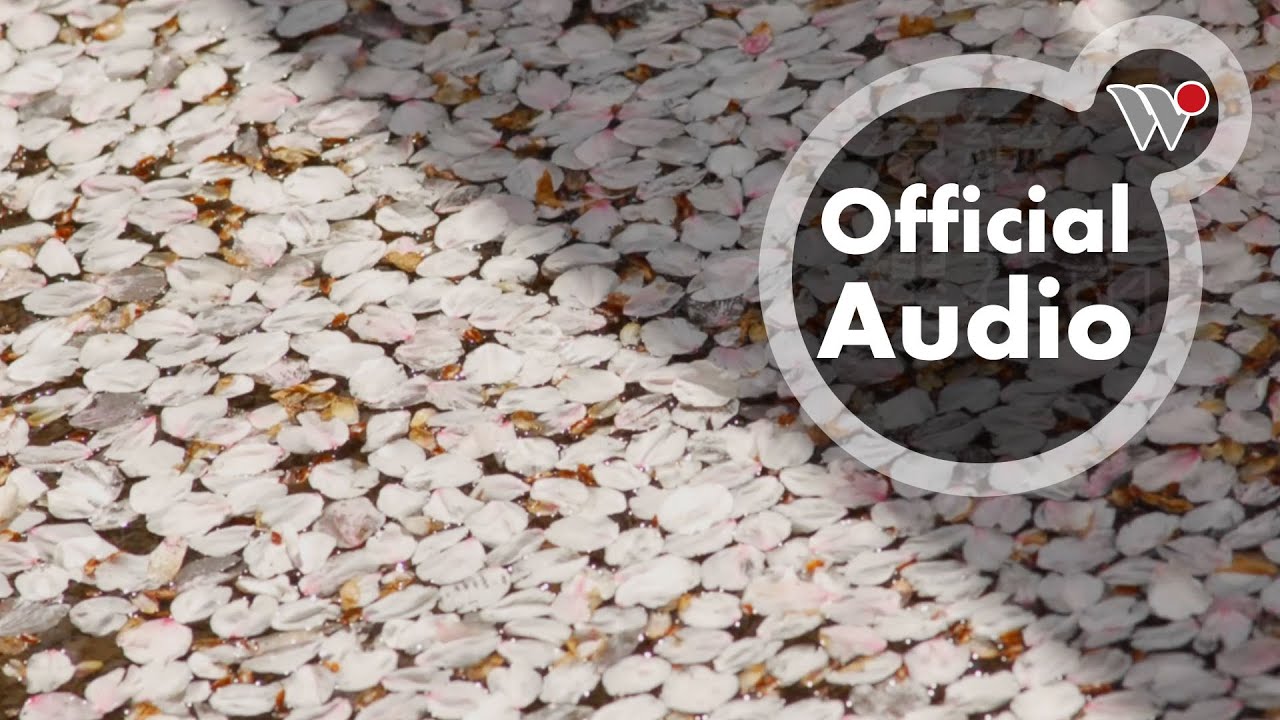 楊錦聰、范宗沛 - 櫻花雨【日本春櫻風景篇】/Ken Yang & Fan  Zong-pei - The Dance of Cherry Blossoms
