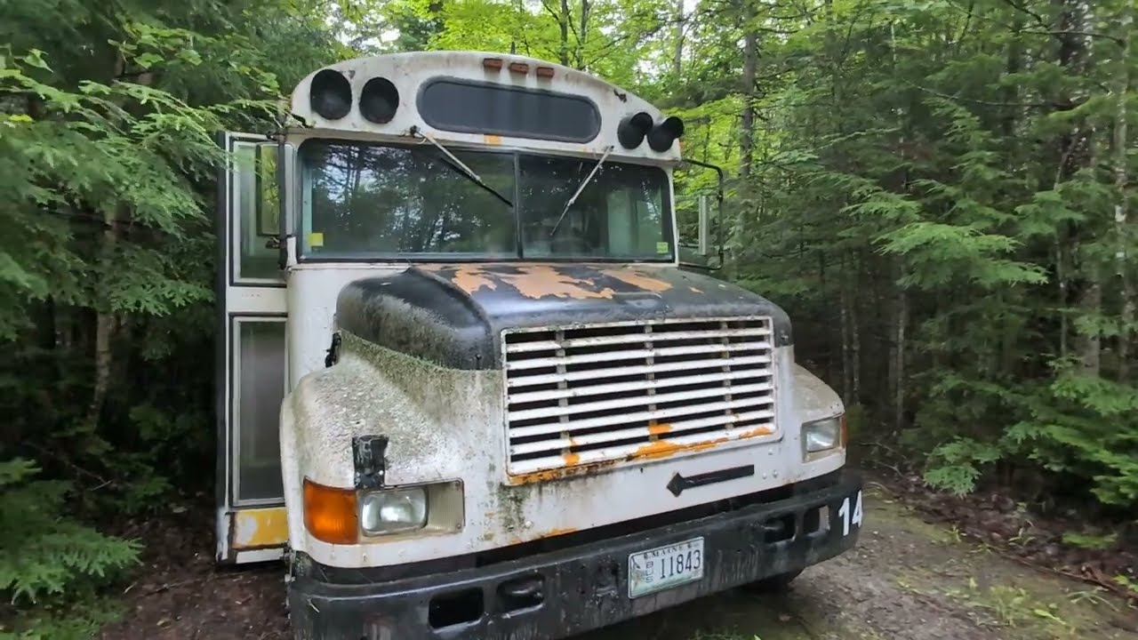 FREE School bus removal
