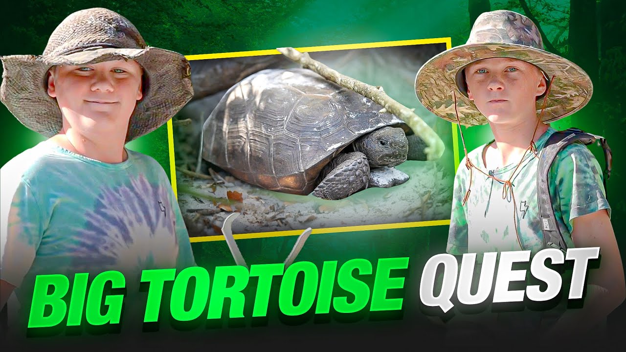 Up Close with Gopher Tortoises | South Florida's Frenchman's Forest Adventure