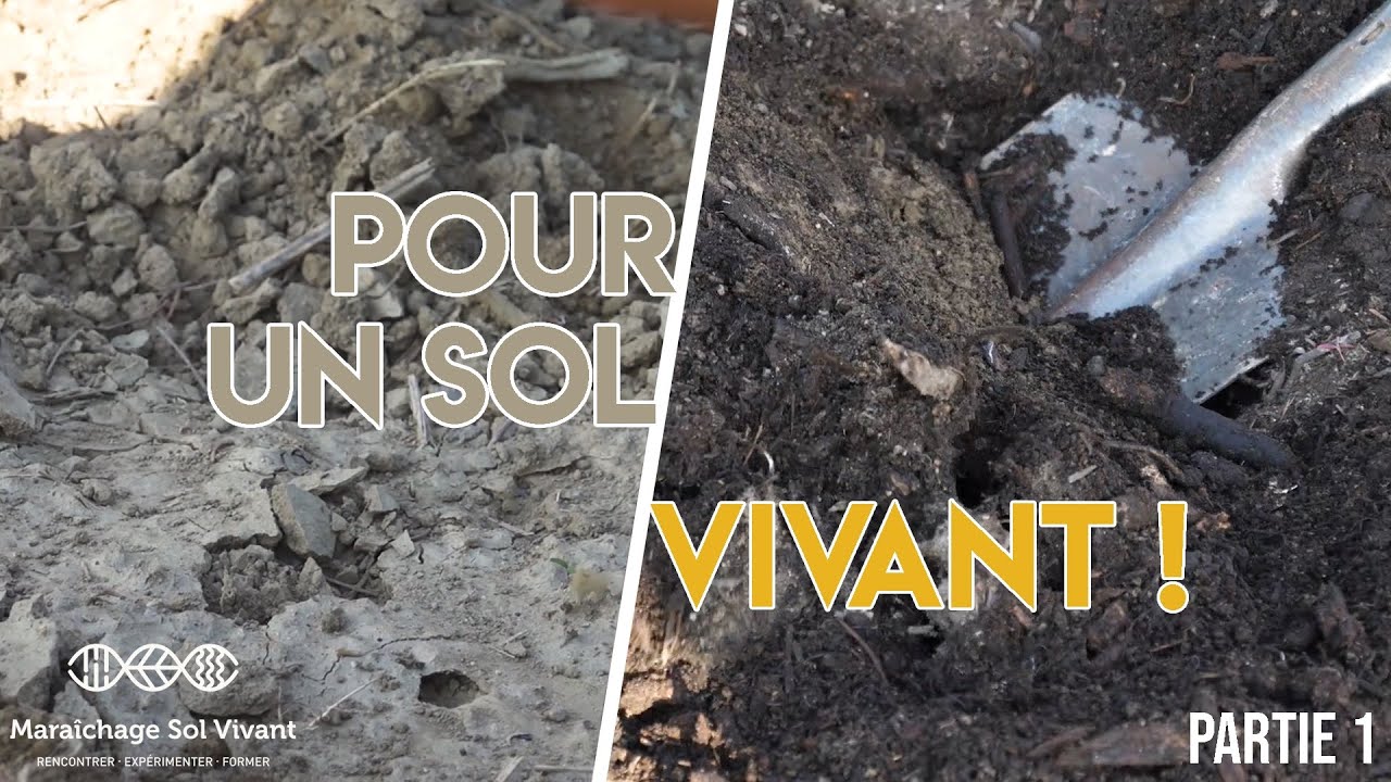 Pour un sol vivant ! partie 1...