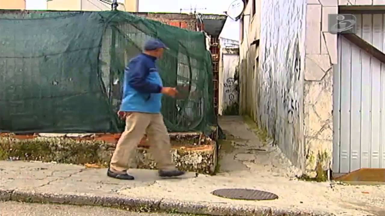 Reboleira [Reportagem]