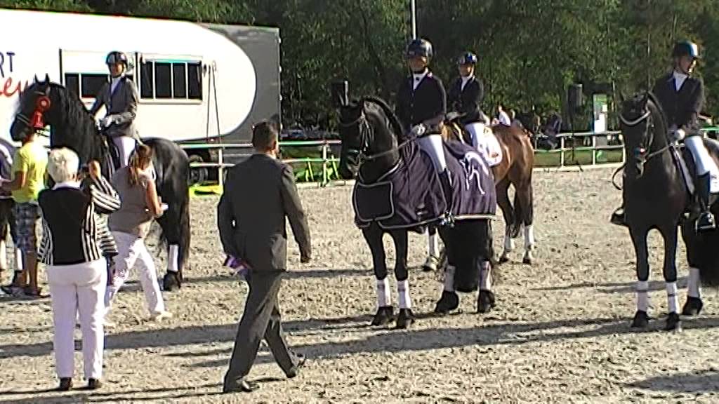 Wytse 462 Fries Kampioen M2 dressuur 2014 met Bobbie IJdema