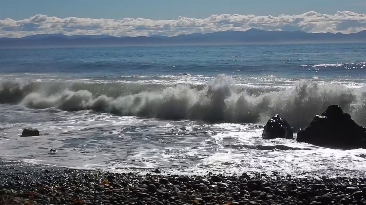 Mystic Beach Waves - Blood and Ashes - Dave McCann and the Ten Toed Frogs