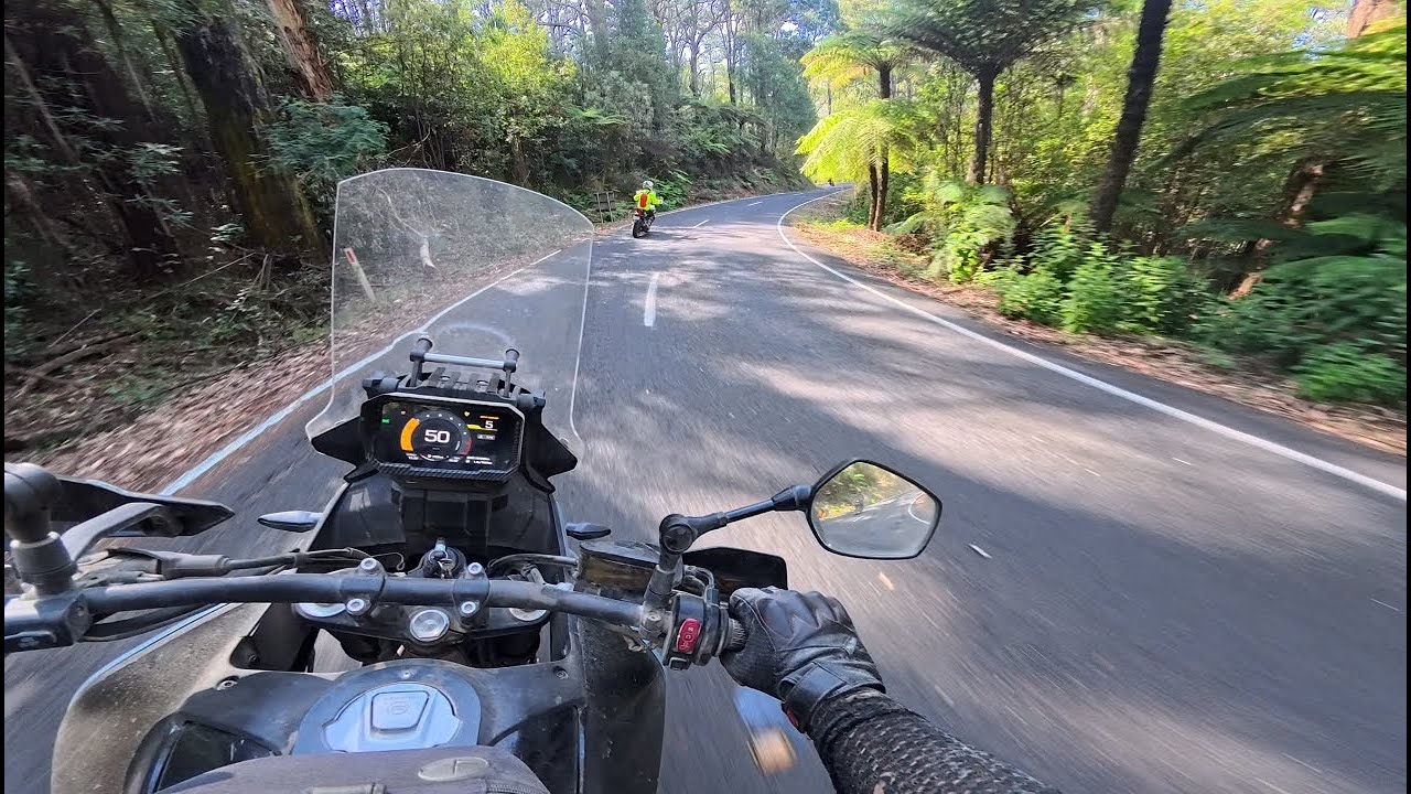 Adventure Ride in State Forest Ends with Wallaby Collision