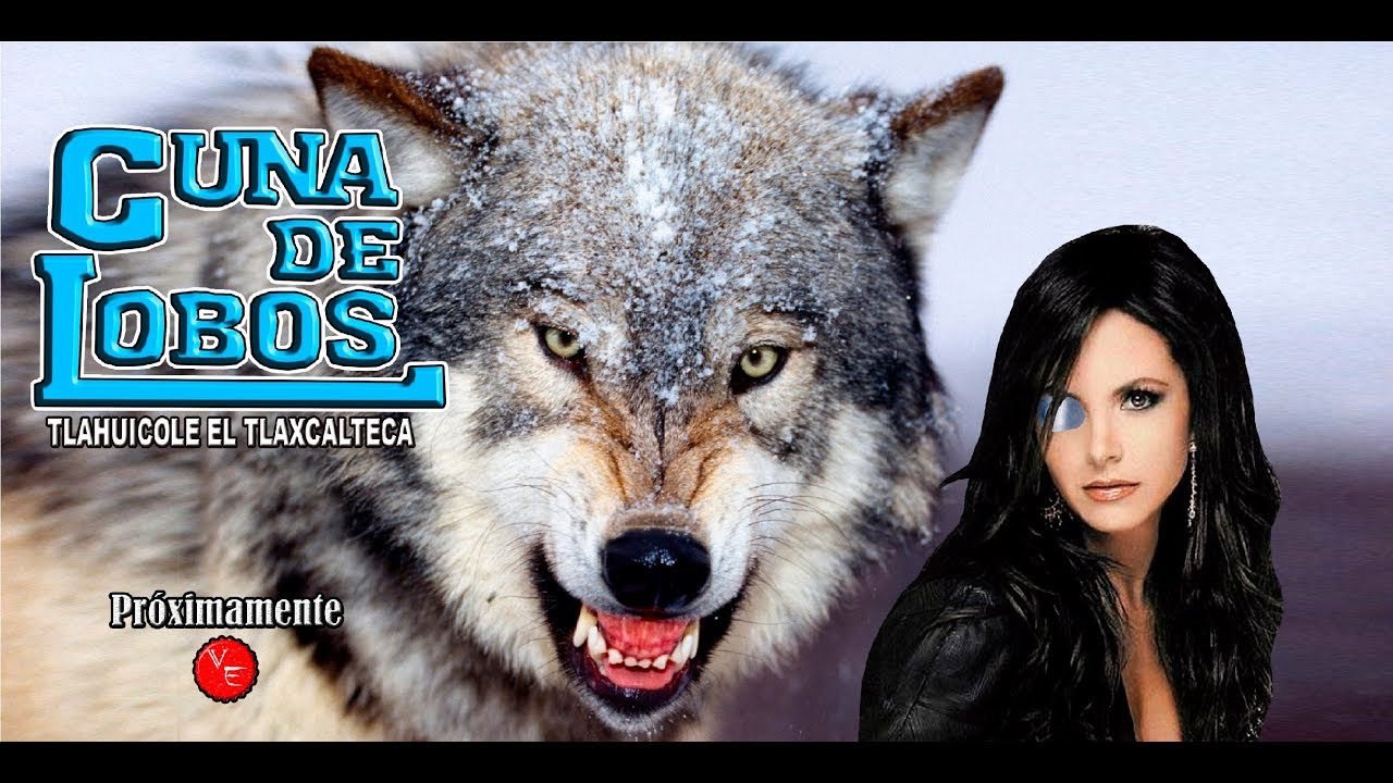 Telenovela Cuna De Lobos remake 2019 pr&oacute;ximamente