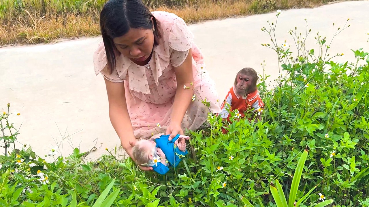 CUTIS & Mom Discover Baby BUEM Sleeping on the Grass After Searching Everywhere