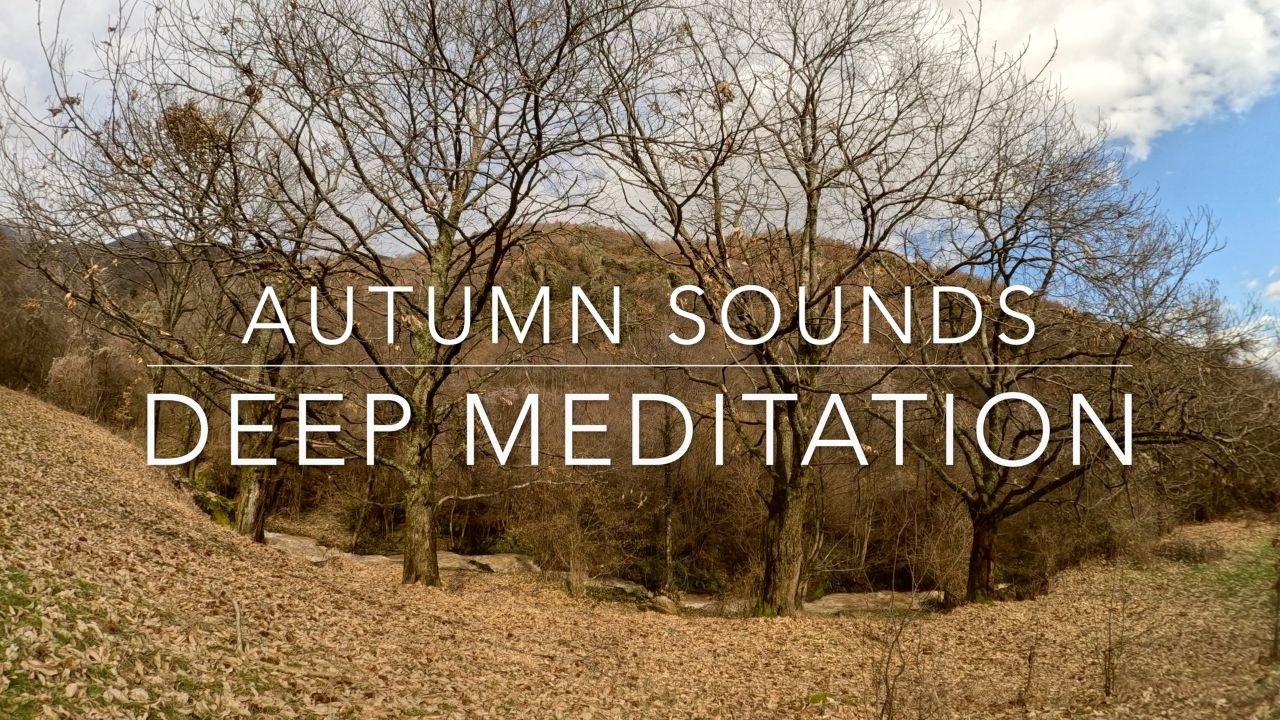 Autumn Rain & River Sounds for Deep Meditation 🍁 Fall into Peace in 60 Minutes
