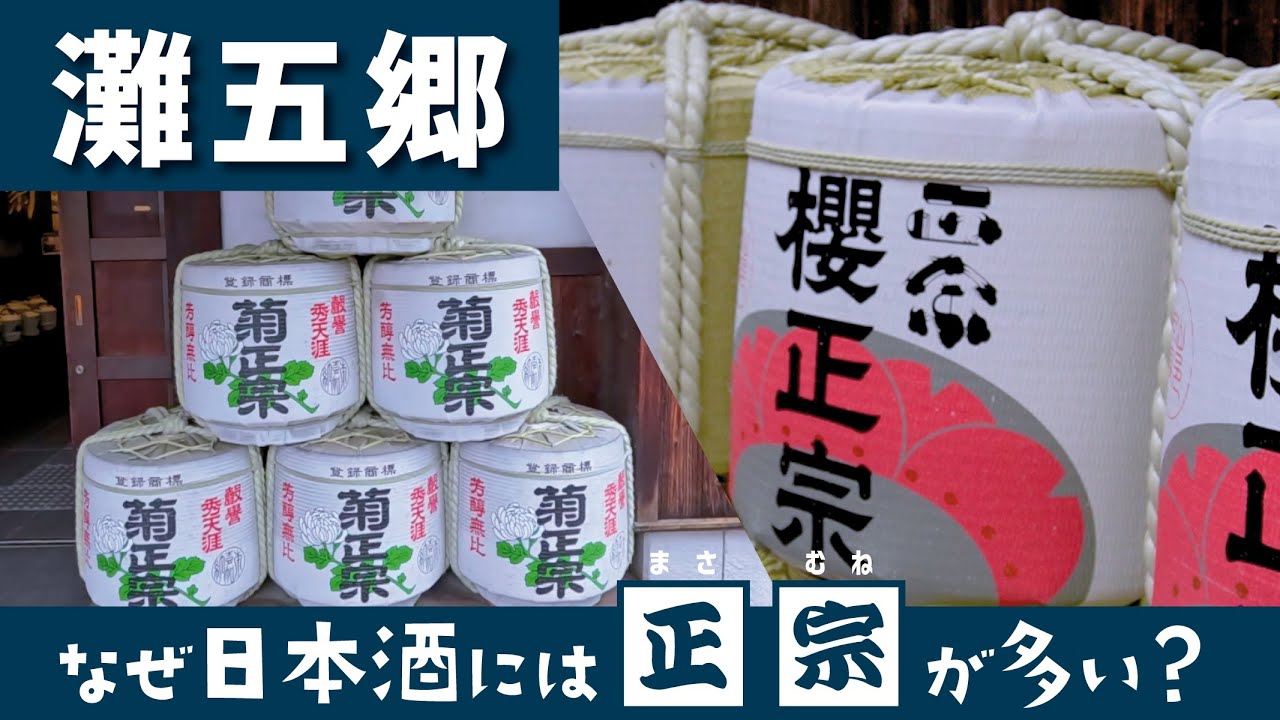 【灘五郷】日本最大の酒どころで飲み比べ｜灘の酒蔵街歩きvlog