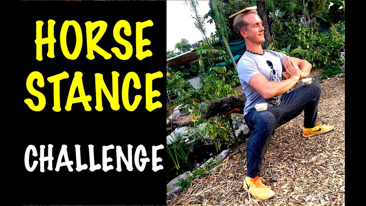 Amazing Kung Fu HORSE STANCE - YouTube Challenge!
