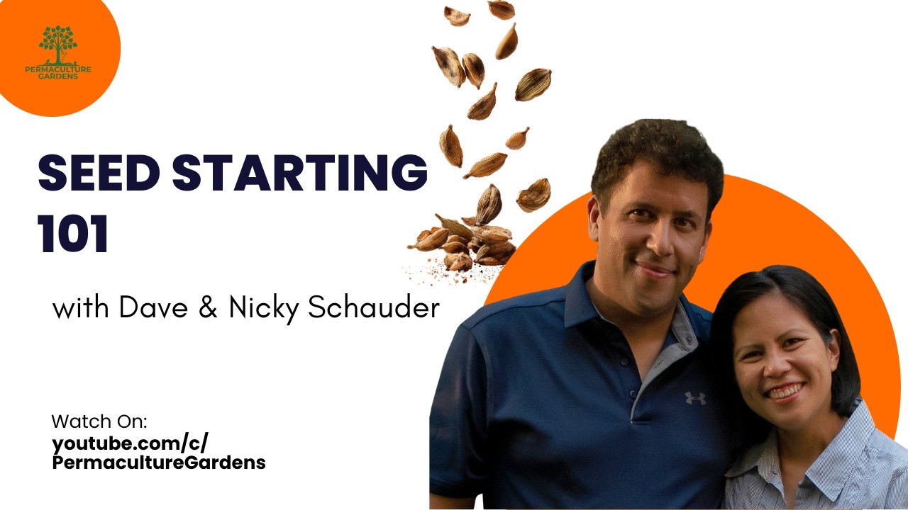 Seed Starting 101 with Permaculture Gardens