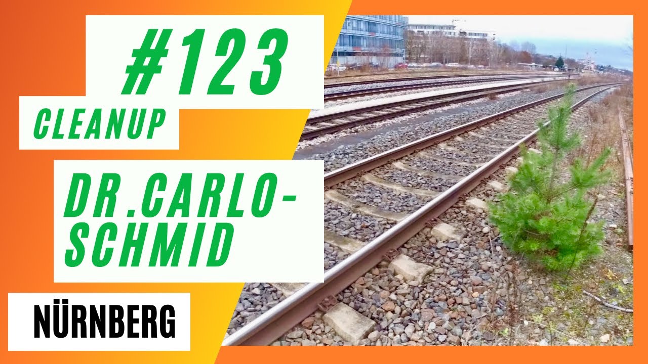 Cleanup #123 | Dr. Carlo-Schmid-Stra&szlig;e N&uuml;rnberg |&nbsp;Ehrenamt