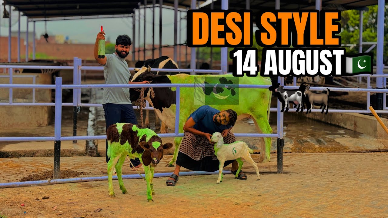 14 August Special – Gaay Aur Bakri Ka Jashan! 🎉
