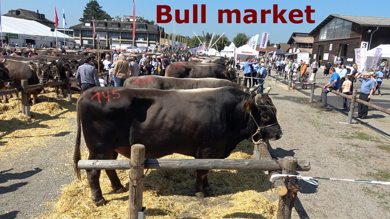 Bull market in Zug, Switzerland