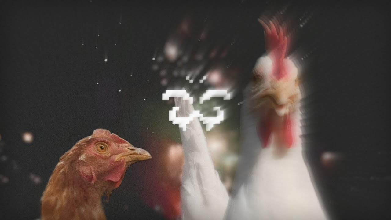 Panchiko - Ginkgo [LYRICS]🐔