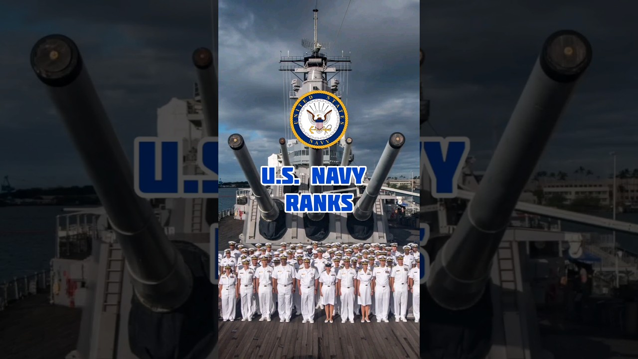 Звания Военно-морского флота США