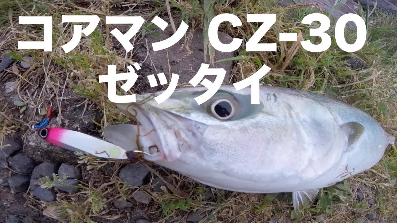 ライトショアジギング！コアマン CZ-30 ゼッタイを使って釣りをした結果！