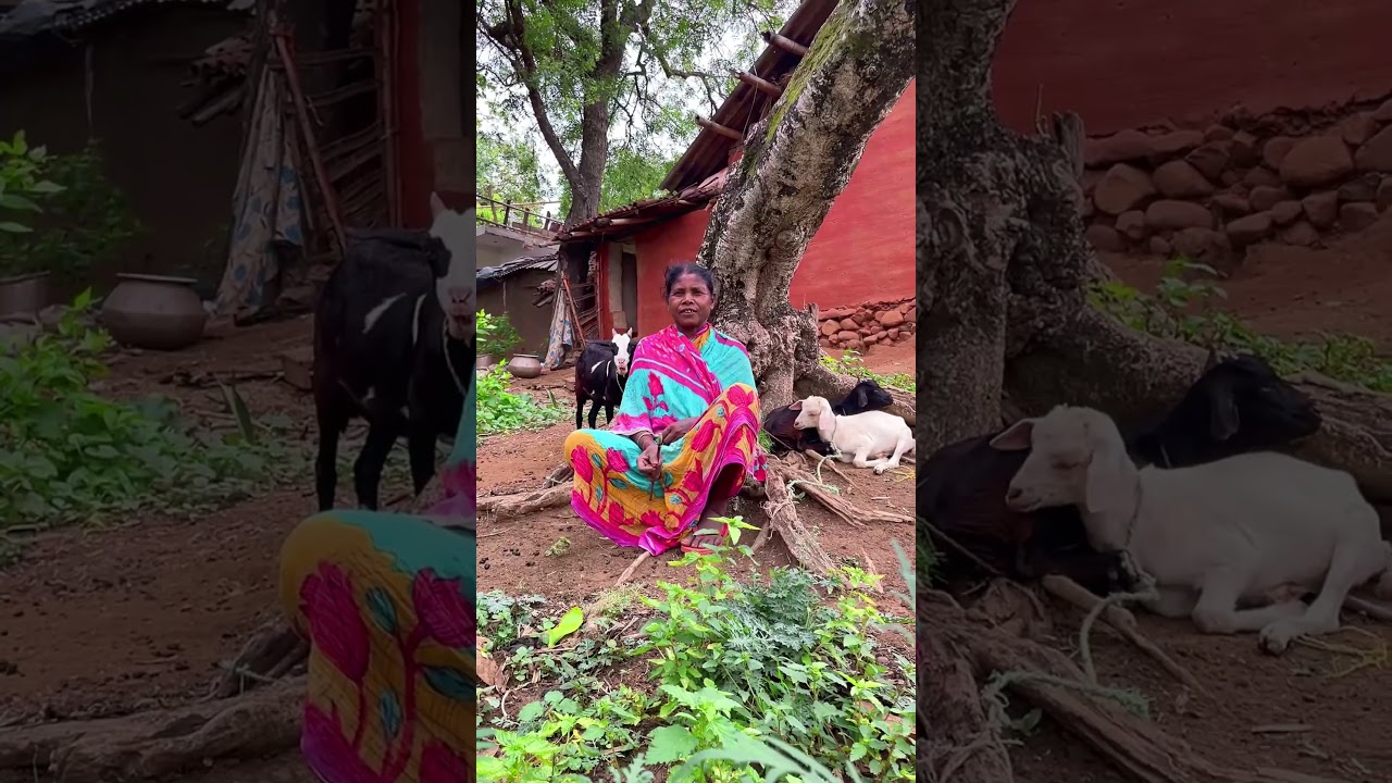Jharkhandi ବହୁ 🤣#shortsfeed #shorts #shortvideo #keonjhar #odisha