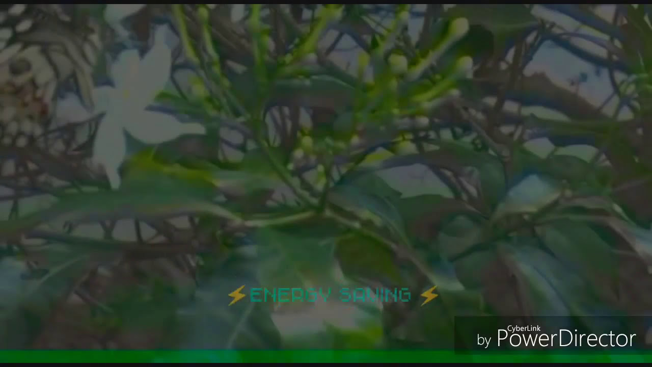 Energy saving short film