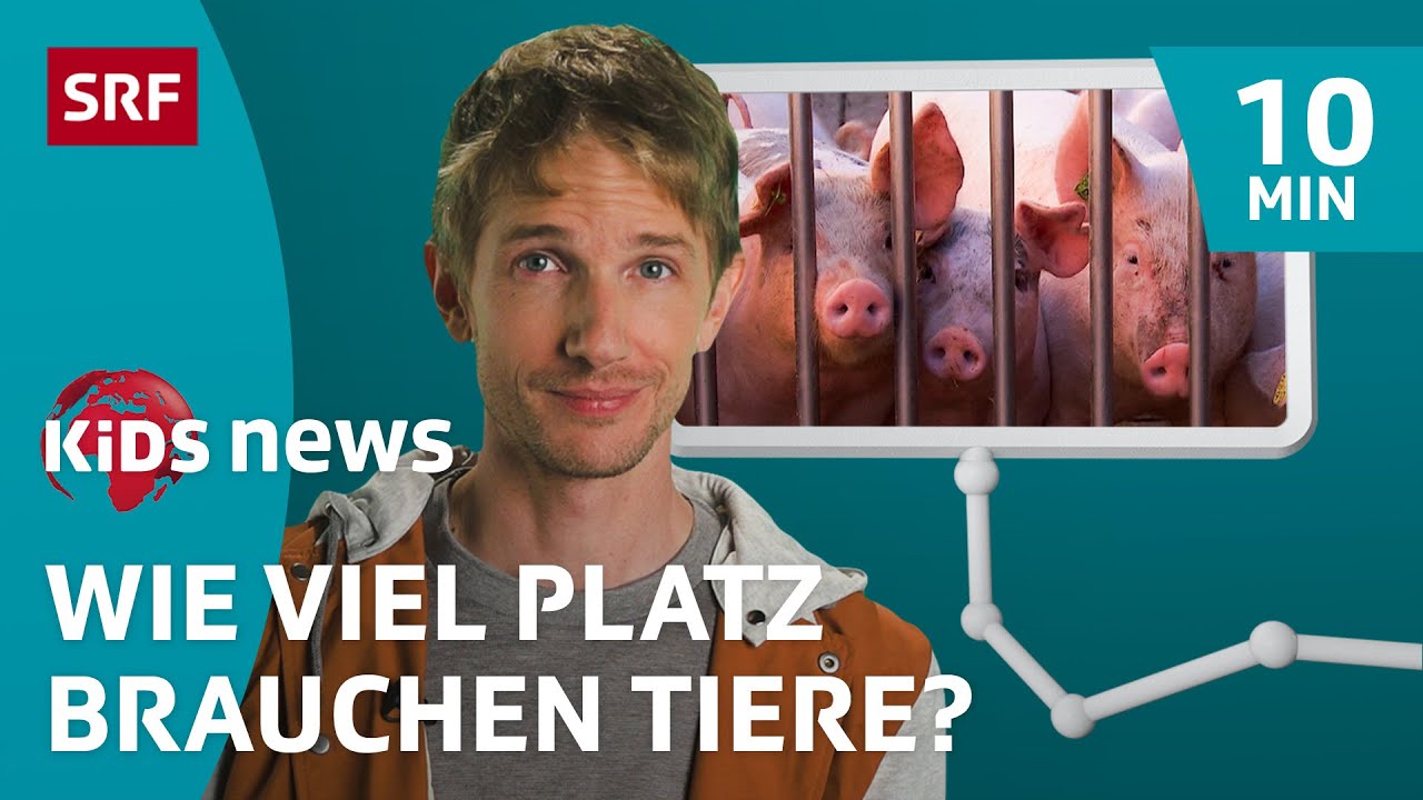 SRF Kids News: Massentierhaltungsinitiative – um was geht es? | Kindervideos