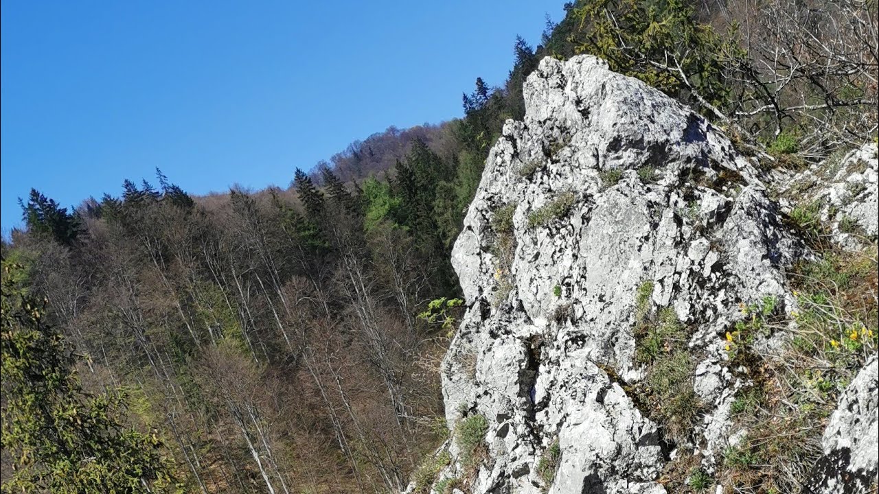 Pietrele lui Solomon - Valea cu Apa - Poiana Stechil -Șaua Tampei - Racadau, 11.04.2024