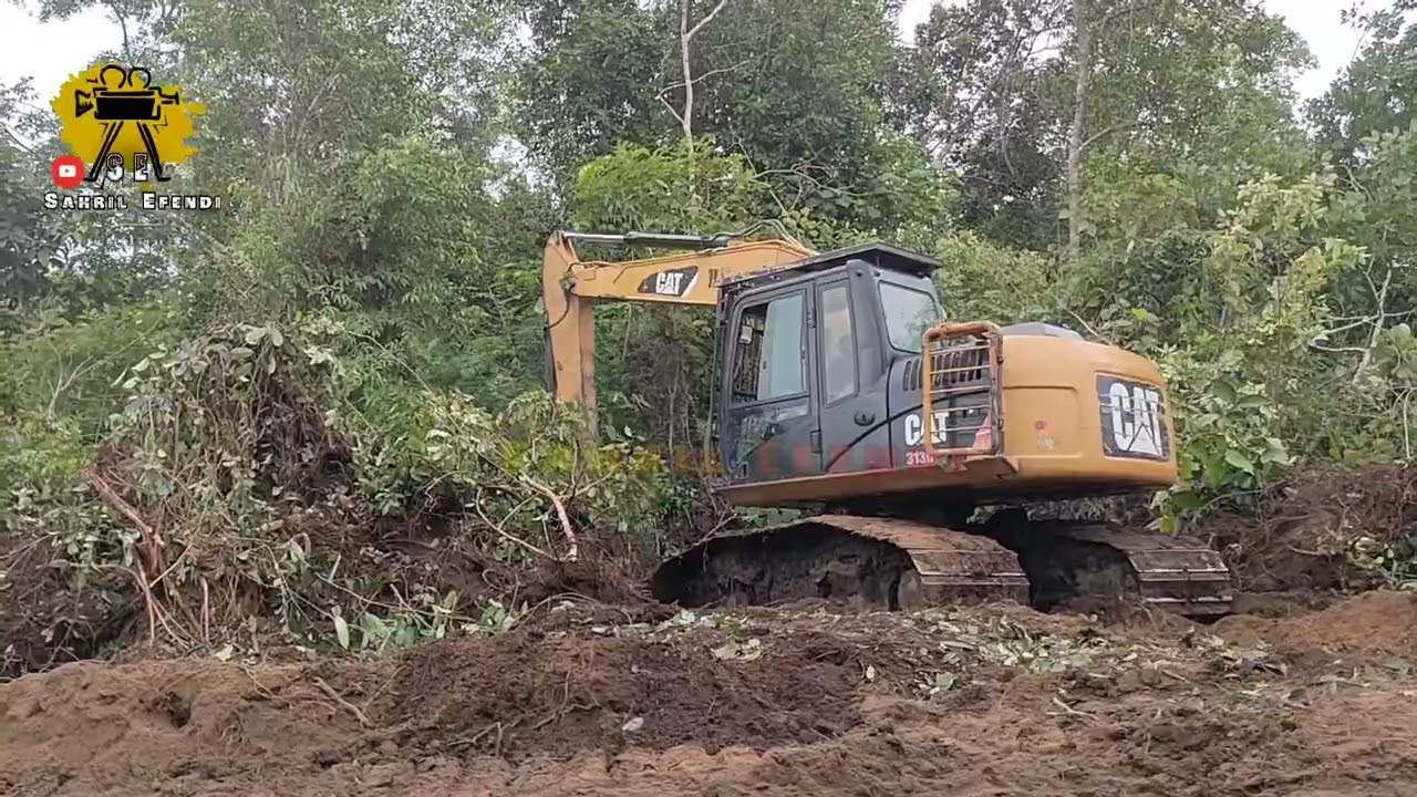 Steking Hutan // Alat Berat // CAT 313 D