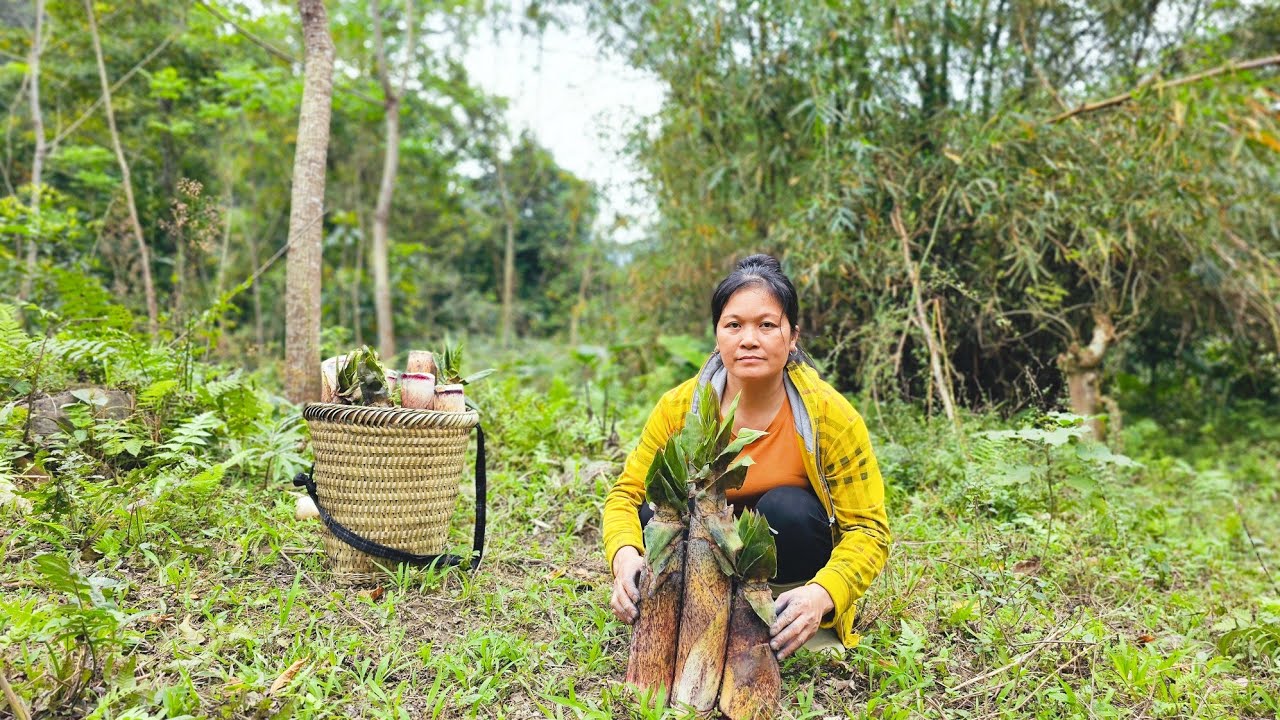 Go to the forest to find bamboo shoots and bring them to the market to sell | Ph&ugrave;ng thị n&aacute;i