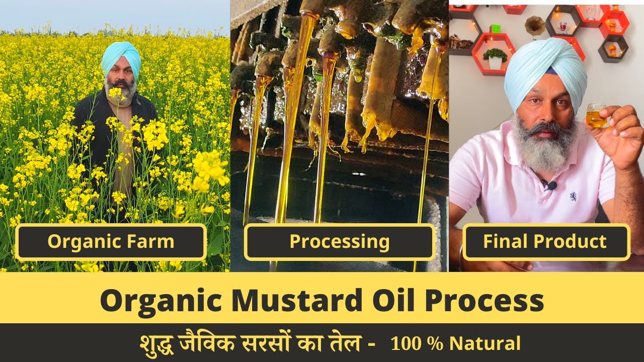 सरसों का तेल | Organic Mustard Oil