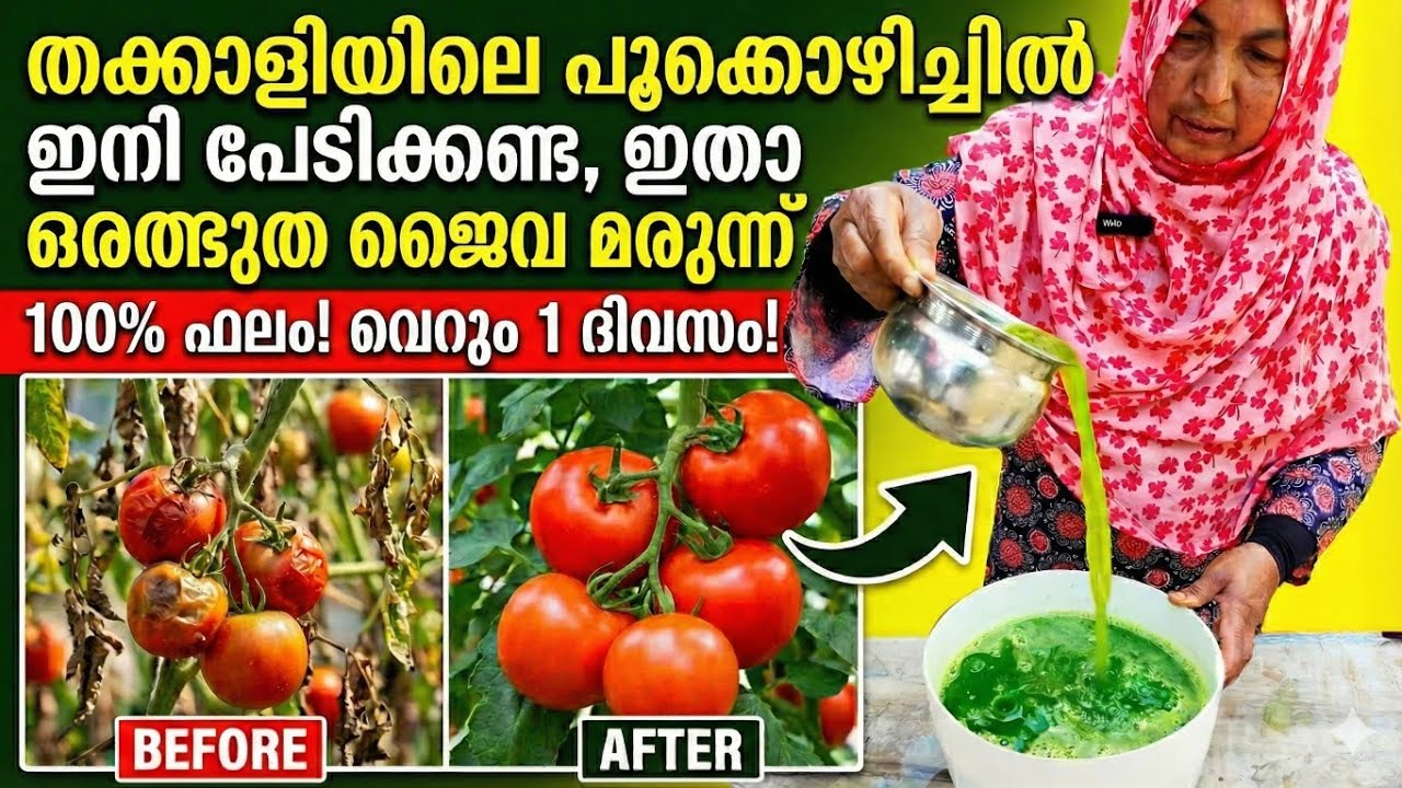 പച്ചക്കറി കൃഷി ചെയ്യുന്നവർ അറിഞ്ഞിരിക്കേണ്ട ജൈവ ഹോർമോൺ പ്രയോഗം 👌🏻