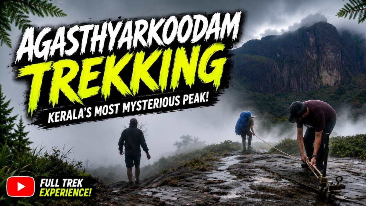 Agasthyarkoodam Trekking അഗസ്ത്യാര്‍കൂടം ട്രെക്കിങ് @realistictravaloge