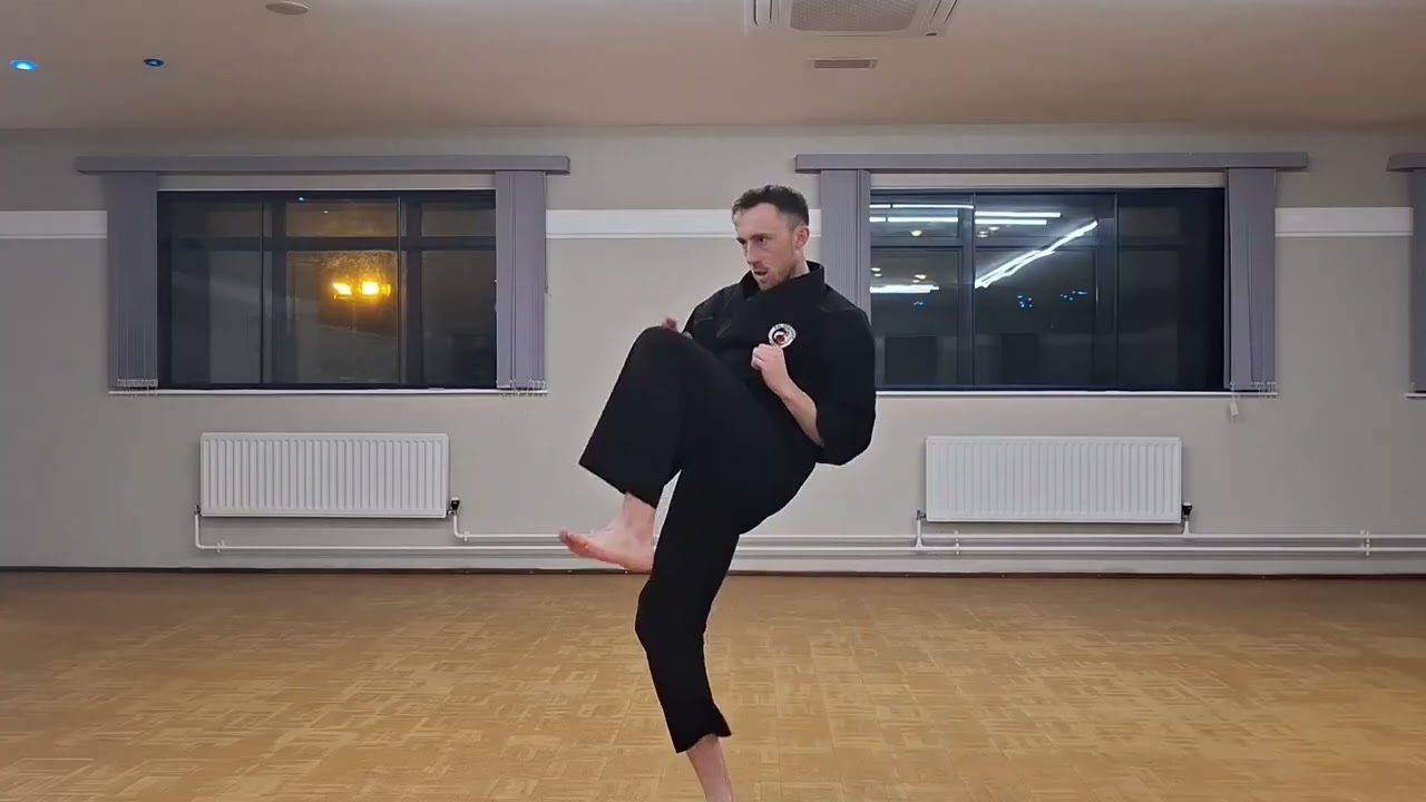 Shuto Uke, Mawashi Empi Uchi, Hiza Geri