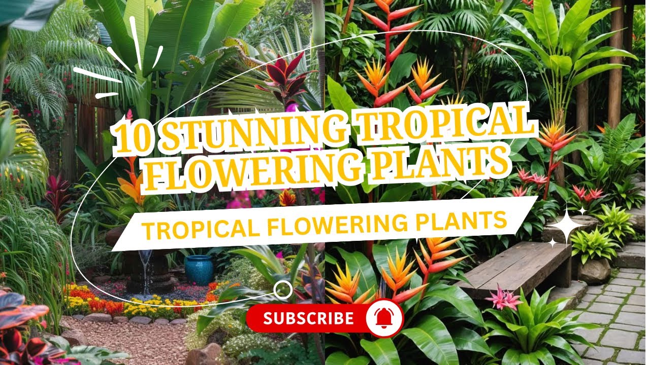 10 Stunning Tropical Flowering Plants for an Exotic Garden