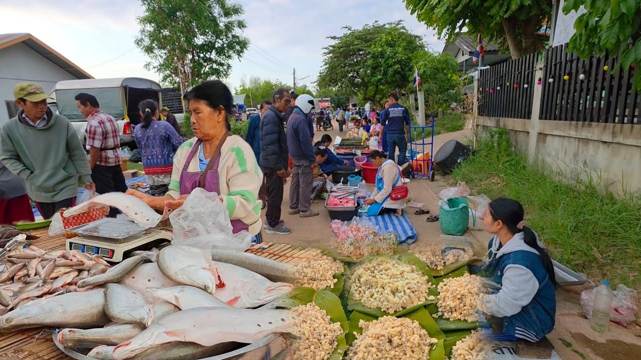 อาหารตามฤดูกาลเยอะสุดๆ ตลาดเช้าบ้านหนองผือ อ.เขมราฐ จ.อุบลฯ