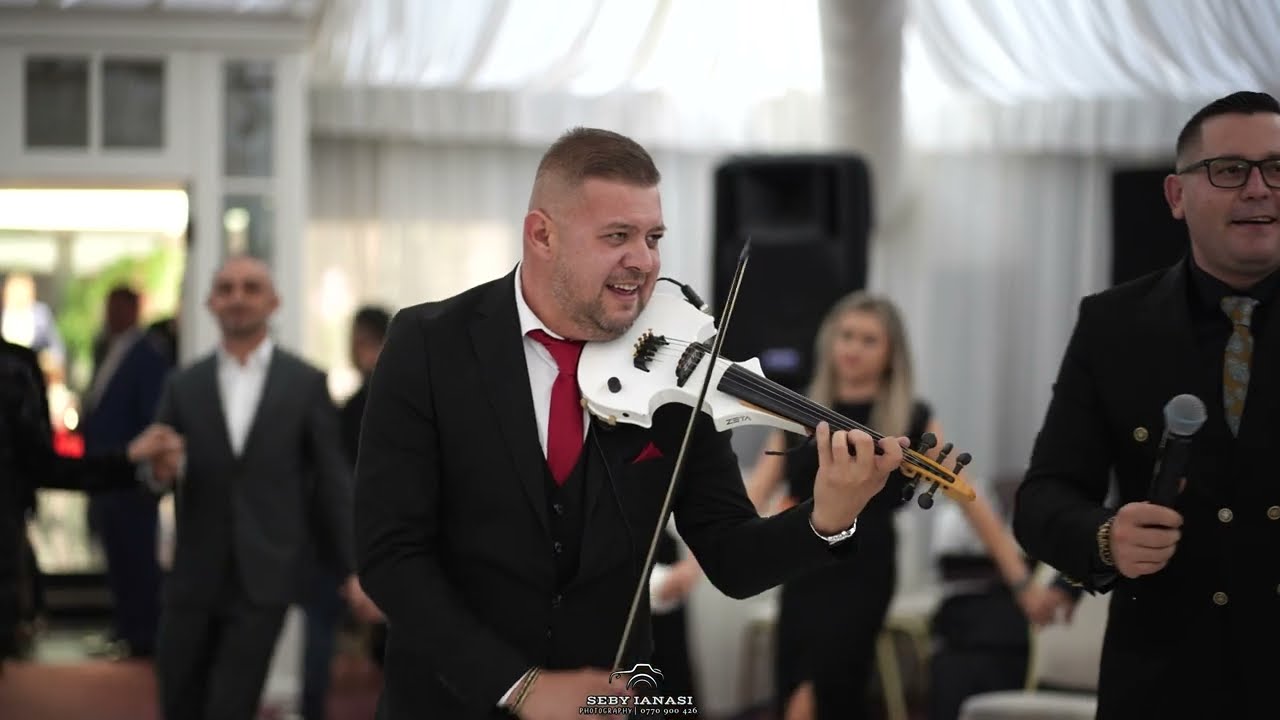 Dani Cotan - Colaj de Melodii Gorjenești Autentice | Muzică de Petrecere Reușită (Cover)