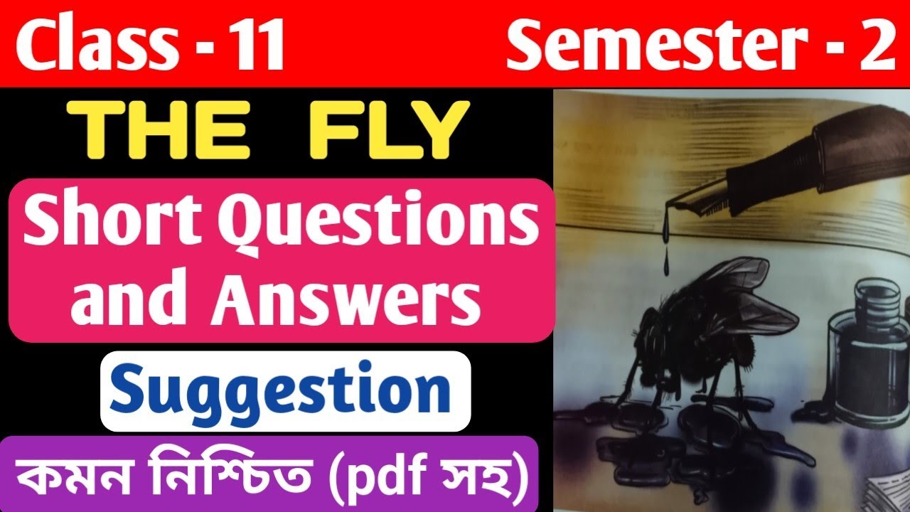 'The Fly' by Katherine Mansfield/ Important Short Questions and Answers/Class-11, Semester - 2