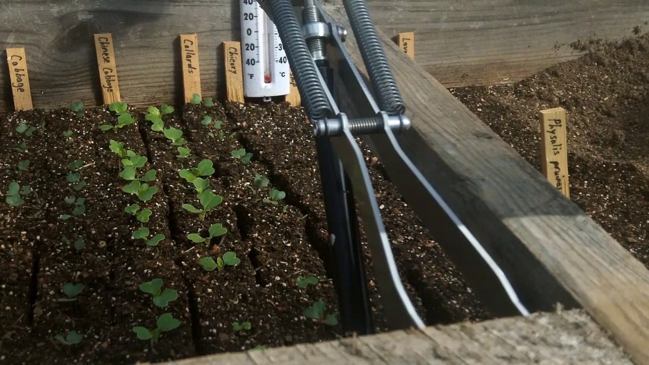 Starting Seeds in the Amazing Cold Frame