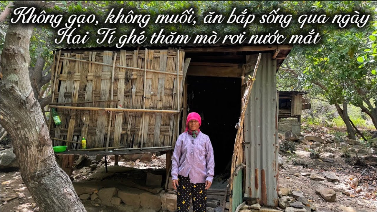 Ăn bắp, ăn canh mít sống qua ngày, muối cũng không có để ăn. Hai Tí ghé căn chòi ăn cùng cô. Tập 35