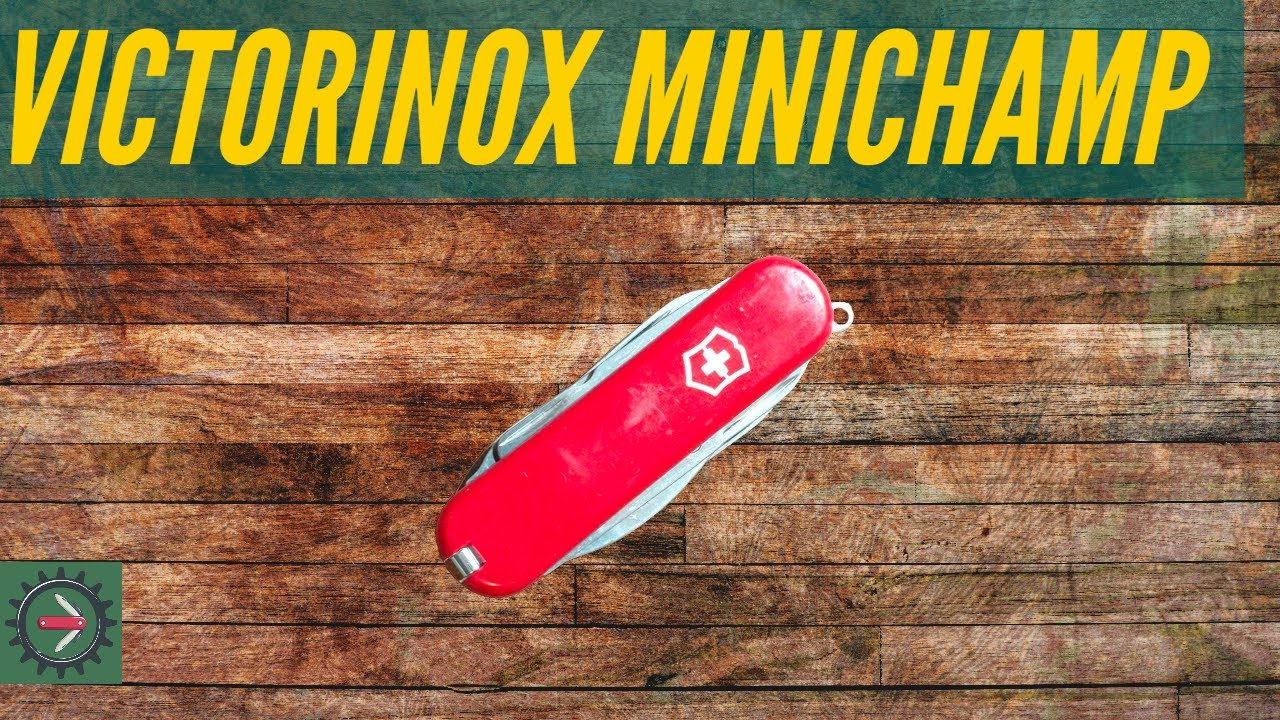It has HOW MANY Tools?! - Victorinox Minichamp Review
