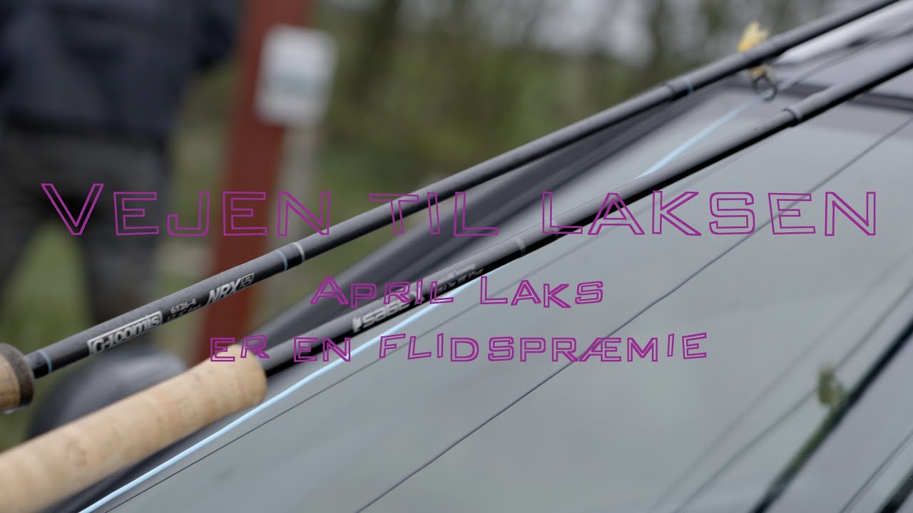 Vejen til laksen - April laks er en flidspræmie