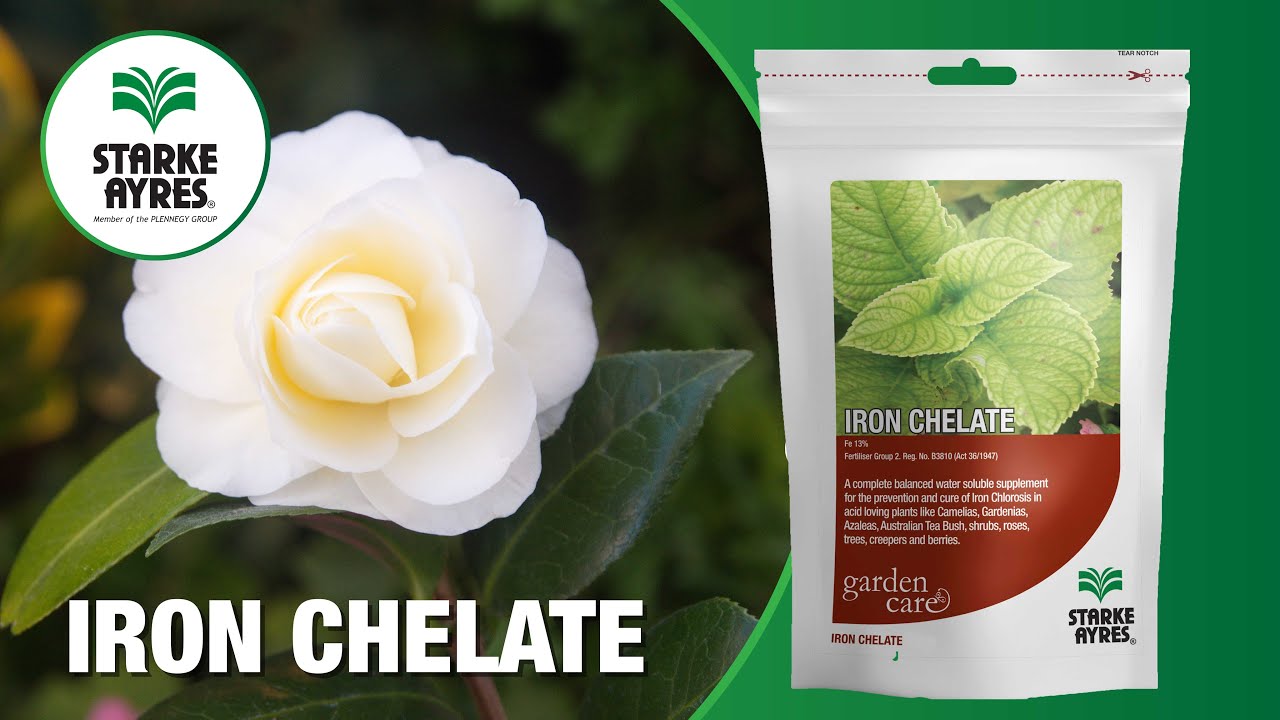 Starke Ayres Iron Chelate with Tanya Visser