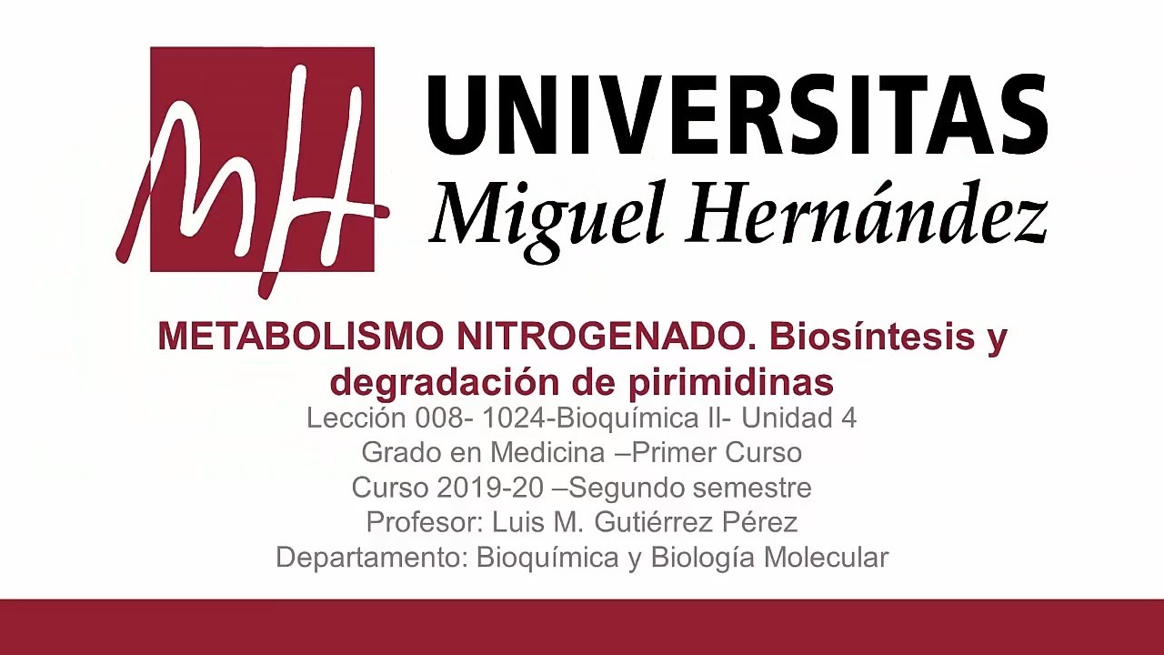 Lec033 Metabolismo nitrogenado-Biosíntesis y degradación de pirimidinas (umh1024 2019-2020)