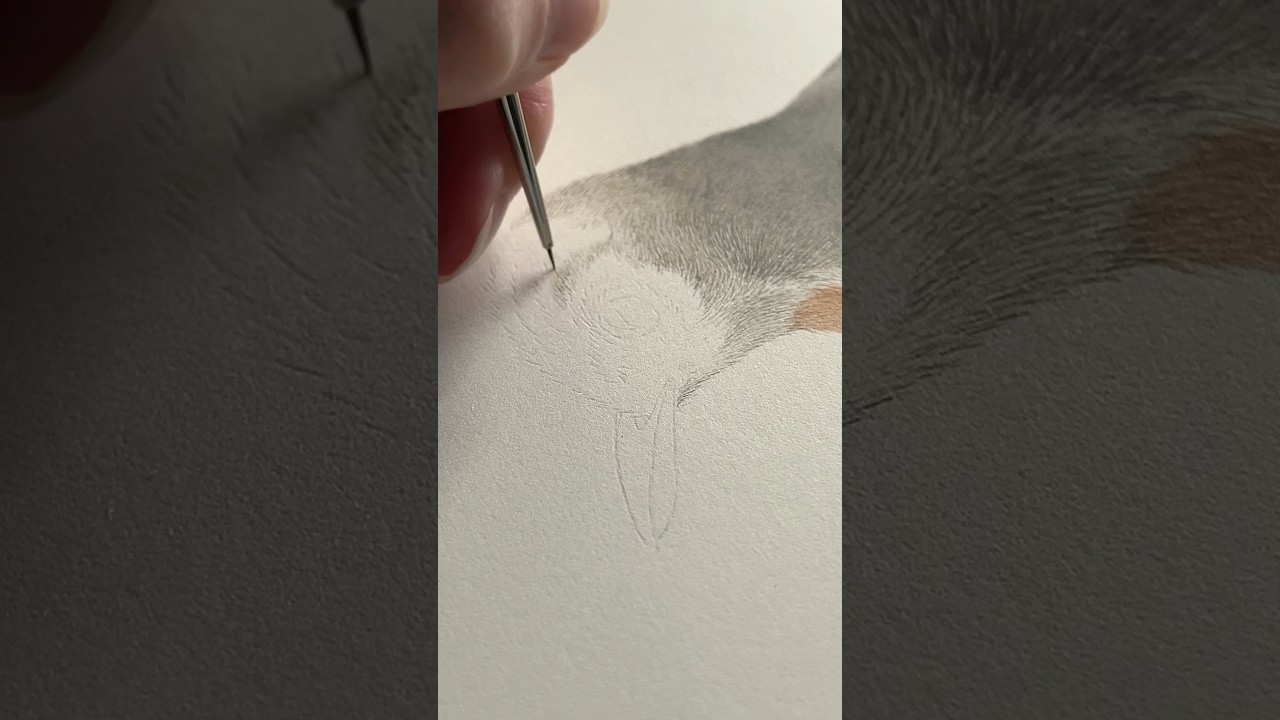 #birdart #artprocessvideo #birdillustration #watercolorpainting #watercolortutorial #timelapseart
