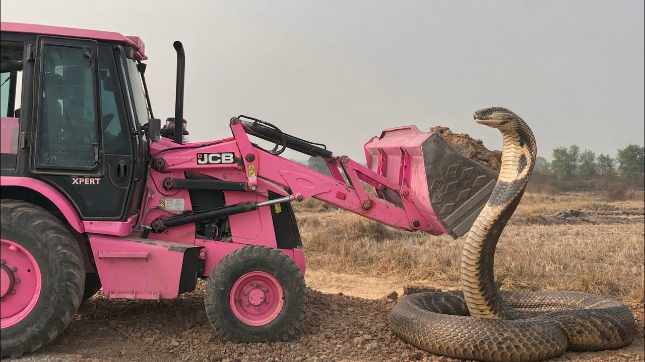 JCB 3DX Backhoe Loader Working In Village For School Construction Work | JCB And Dozer Working 
