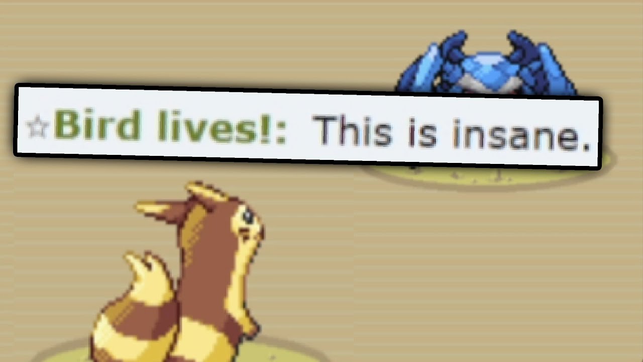 F*** it. Furret Offense (Gen 3 OU Ladder)